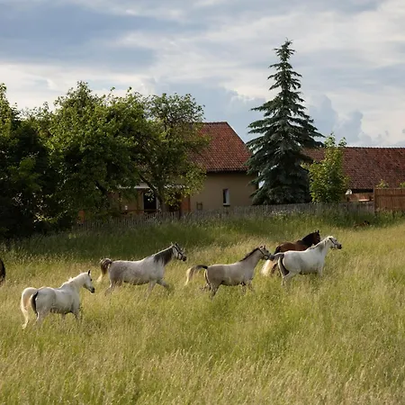 Siedlisko Agricola Mazury Holiday home