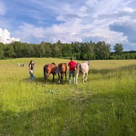 Siedlisko Agricola Mazury Olecko
